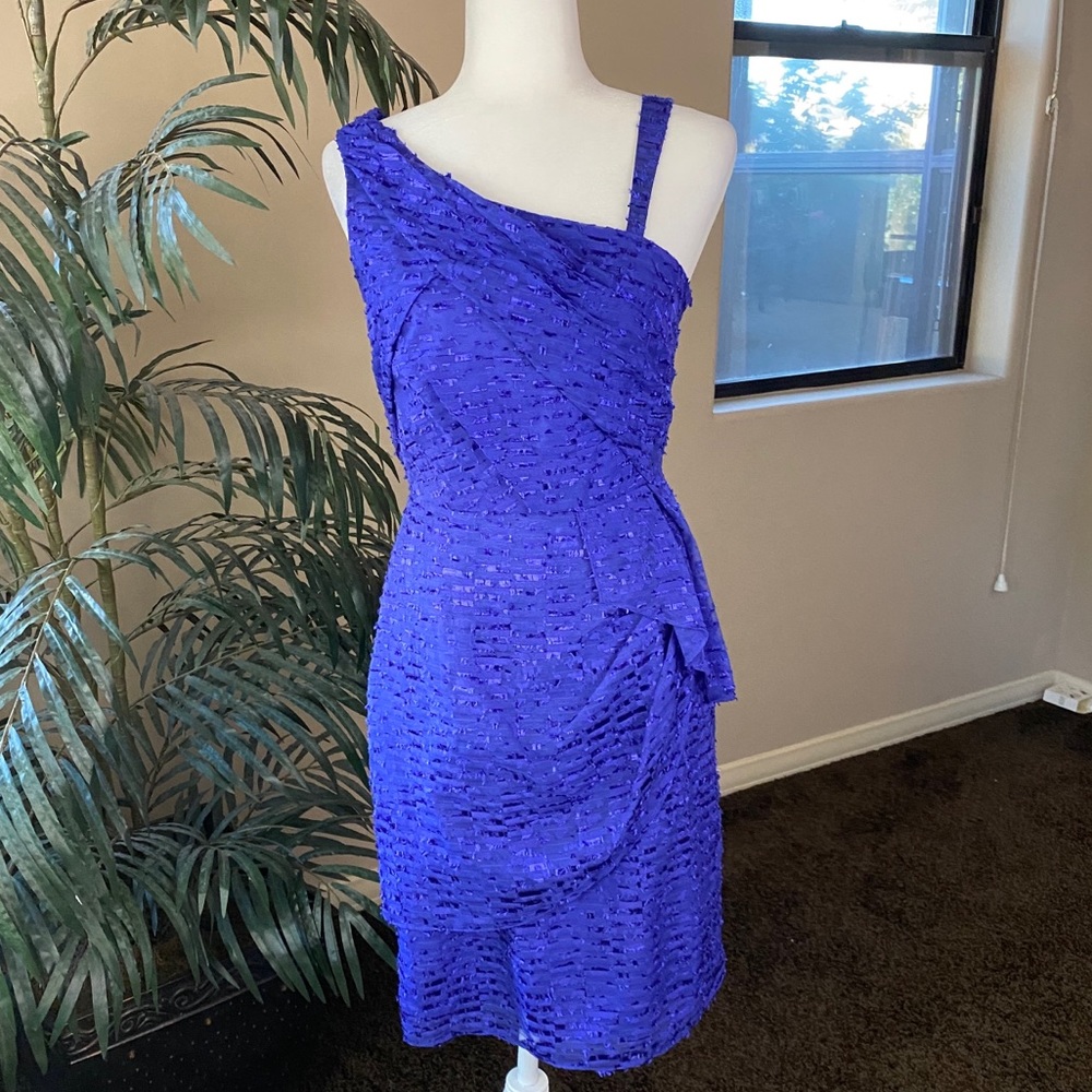 Antonio Melani Special Occasion Dress Size 2